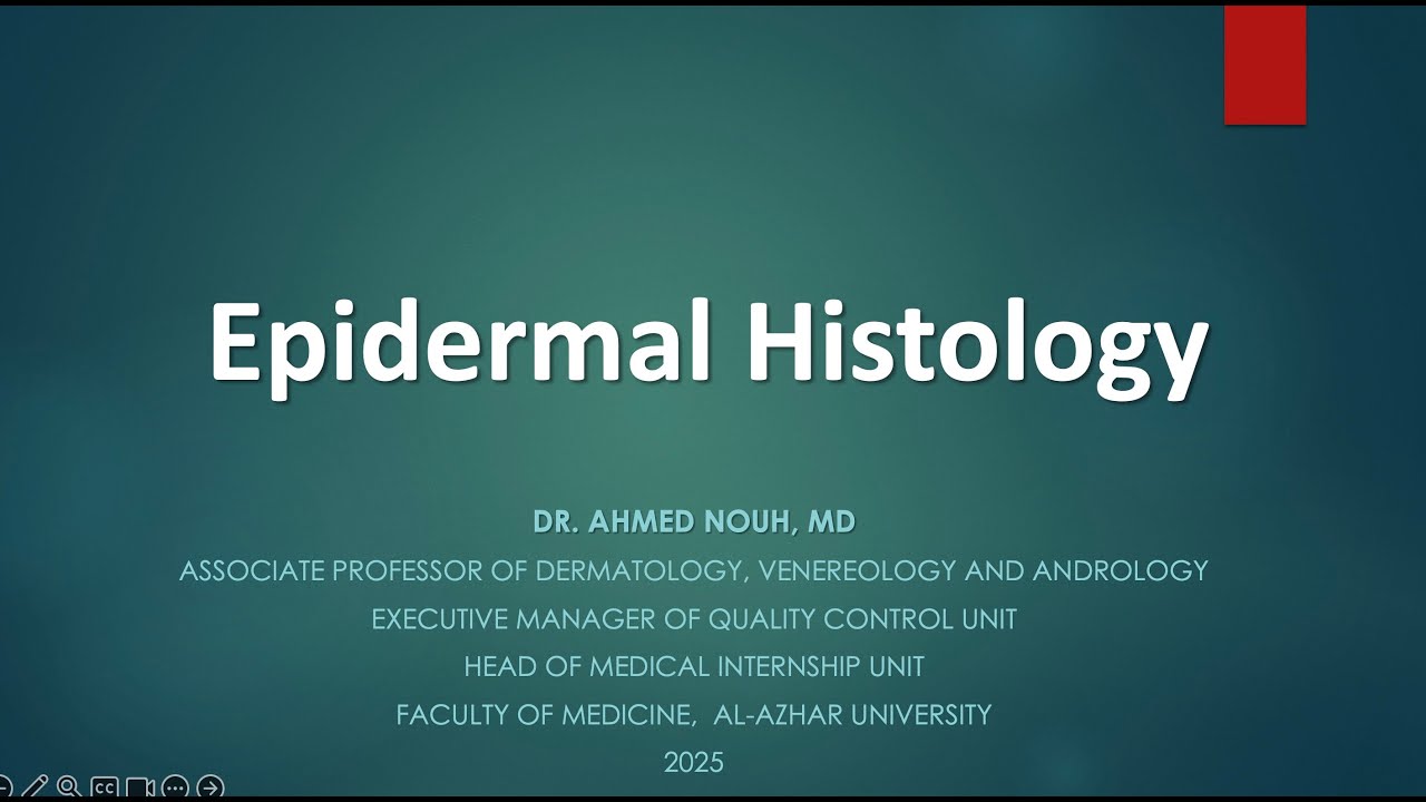 Basic histology