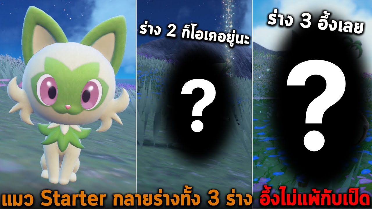 แมว Starter กลายร่างทั้ง 3 ร่าง อึ้งไม่แพ้กับเป็ด Pokemon Scarlet and Violet