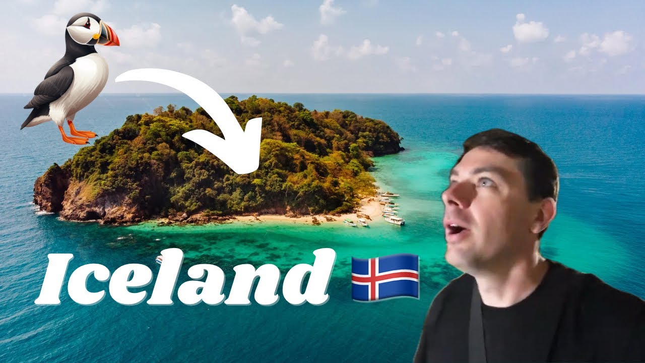 Disappointing PUFFIN Tour in Reykjavik!