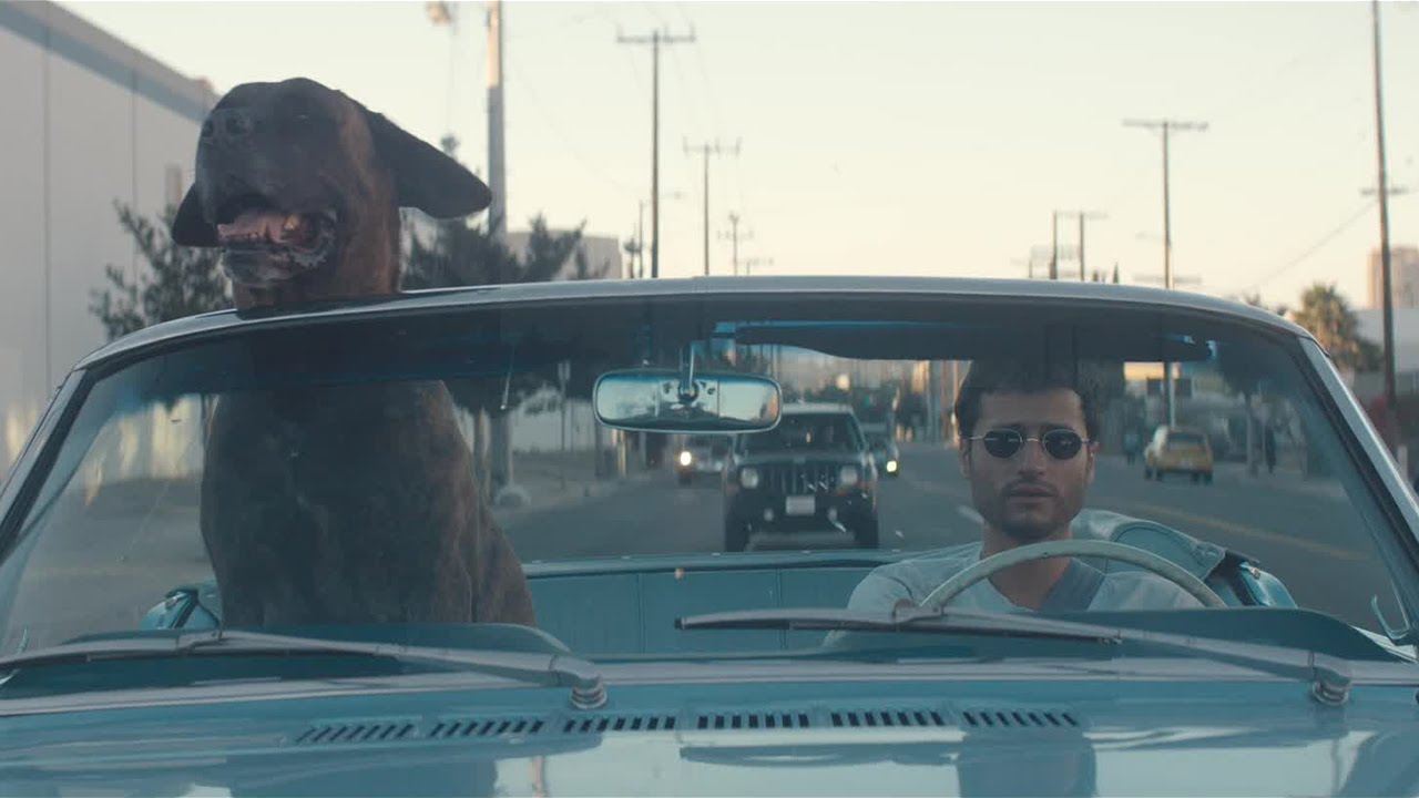 Adrien Gallo - Crocodile (Clip officiel)