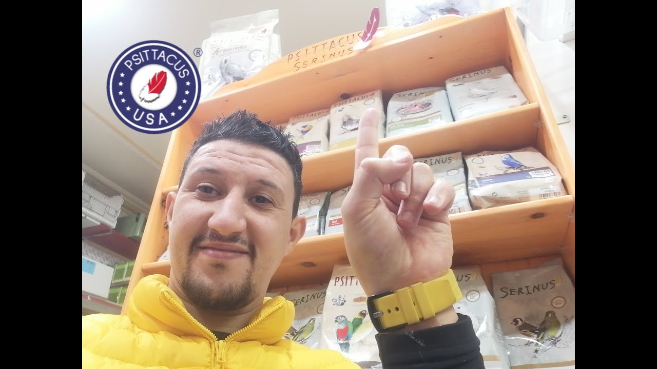 أفضل المنتجات التأكيل اليدوي لطيور psittacus