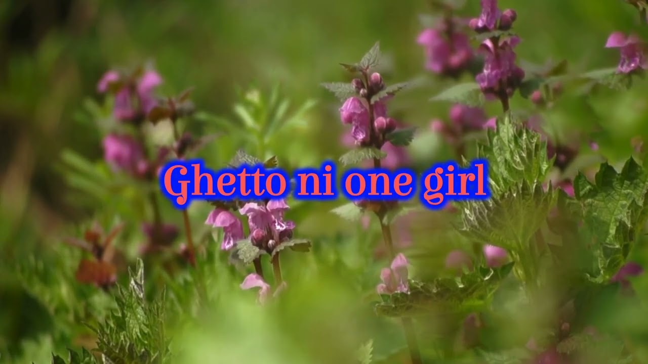 TOXIC LYRIKALI-BUD FLOWERS (EASY LYRICS)