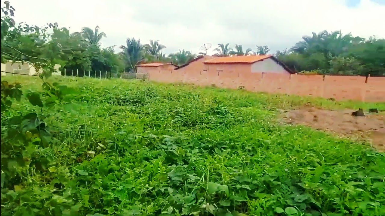 CHÁCARA PRODUTIVA UM PARAÍSO NA TERRA A 2KM DA CIDADE DE ESPERANTINA PIAUÍ
