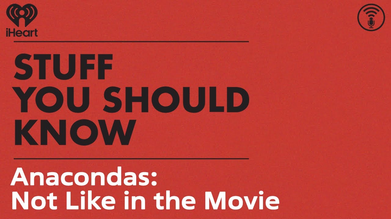 Anacondas: Not Like in the Movie | STUFF YOU SHOULD KNOW