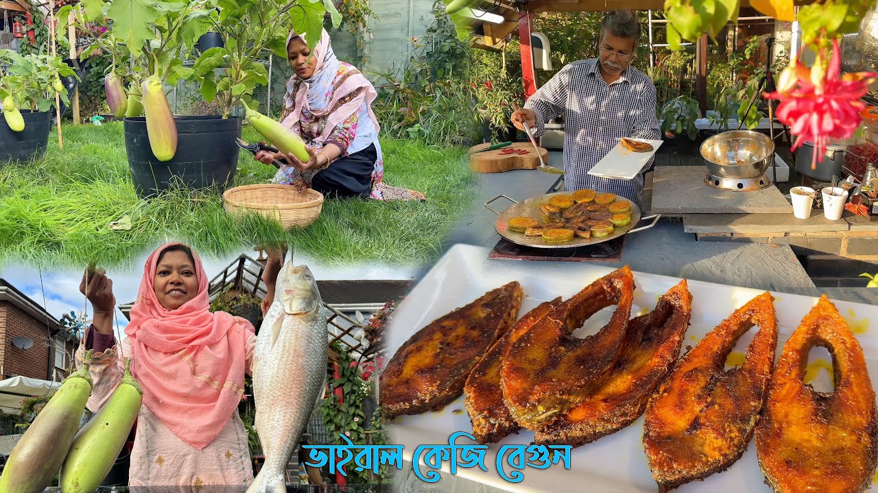 বাড়ির বাগানে জন্মানো কেজি বেগুন! + মাওয়া ঘাটের ইলিশ ভাজা !