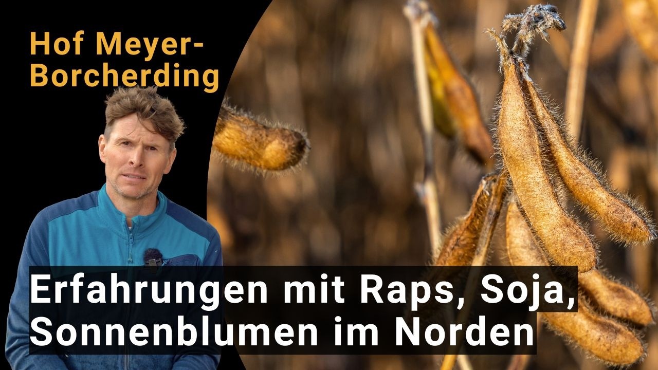 Anbau von Raps, Soja, Sonnenblumen im Norden - Praxiserfahrungen des Bioland-Hof Meyer-Borcherding