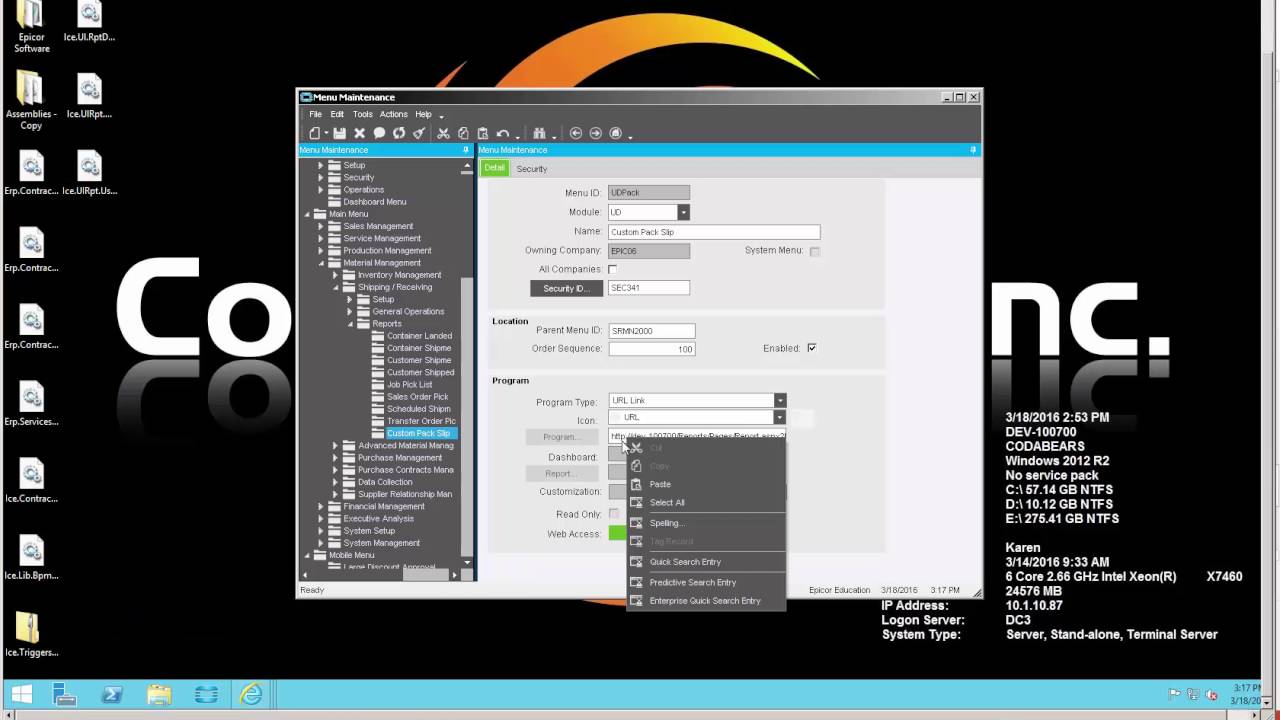 Как получить отчеты в Epicor ERP 10.1?