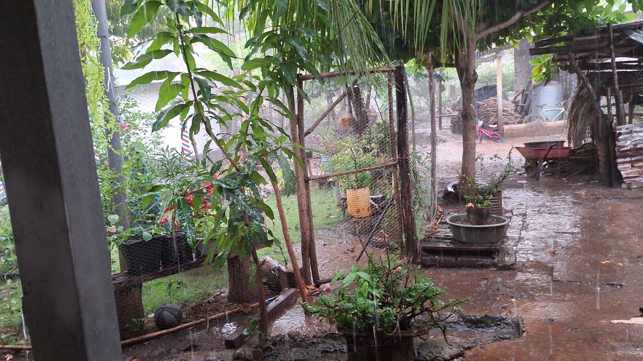 9 de diciembre y con mucha lluvia 😱😱en el salvador 🤗🤗🤗