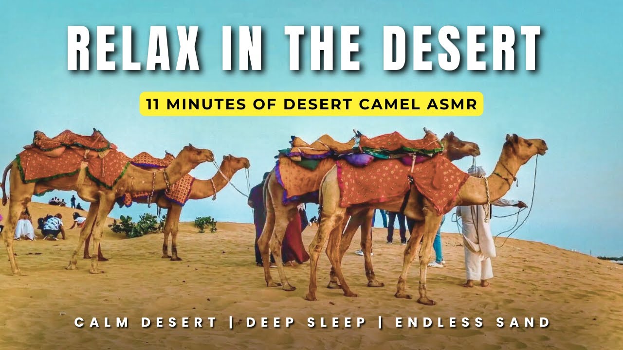 Camels Across Endless Sands – 11 Minutes of Calm, Cinematic Desert ASMR