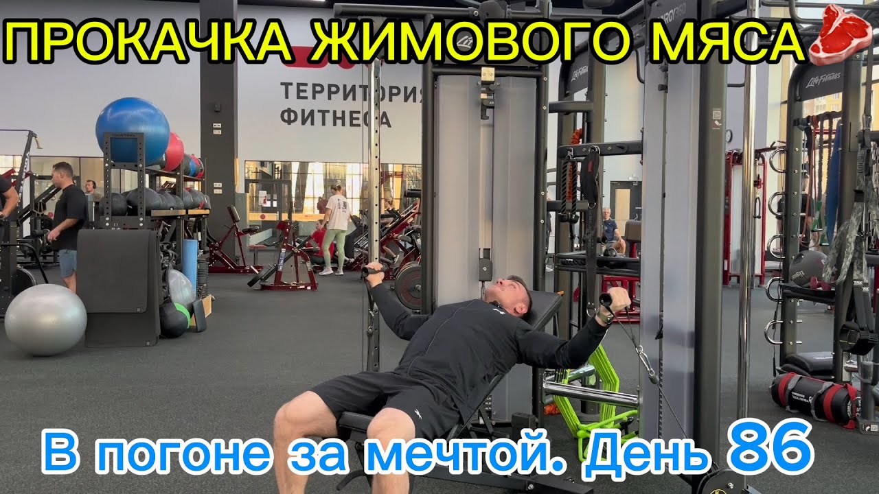 В погоне за мечтой. День 86| ПРОКАЧКА ЖИМОВОГО МЯСА 🥩| В ПОПЫТКАХ НАБОРА МЫШЕЧНОЙ МАССЫ 