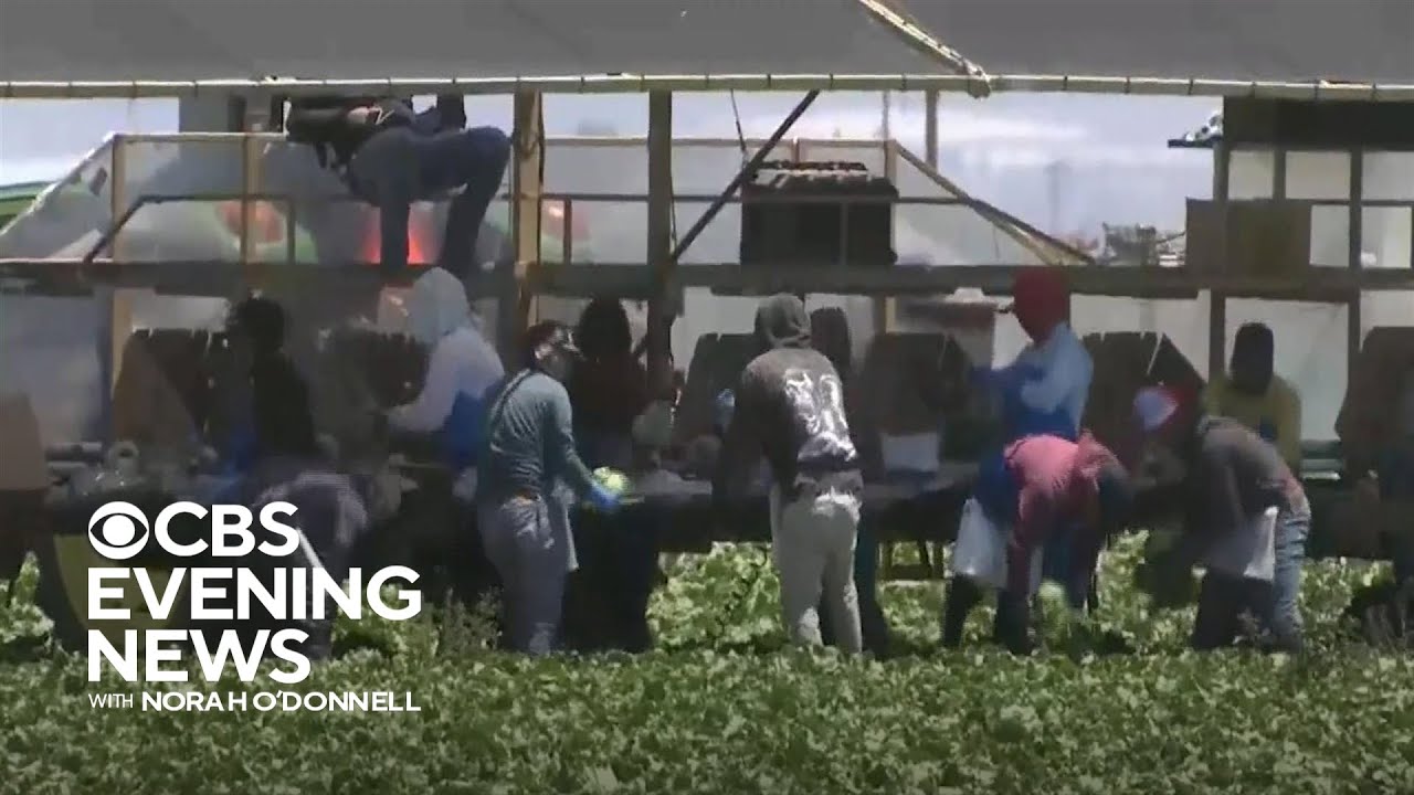 Brutal heat wave tests farm workers, many of whom lack legal protections