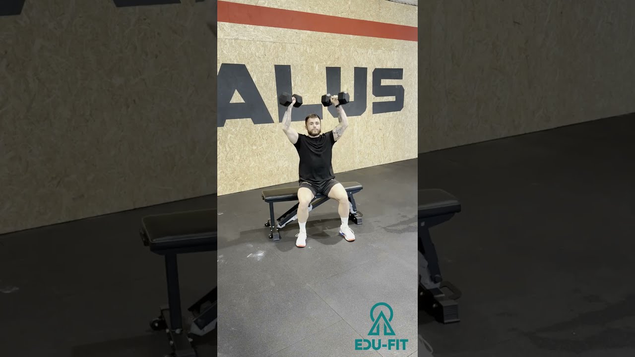 double DB seated press