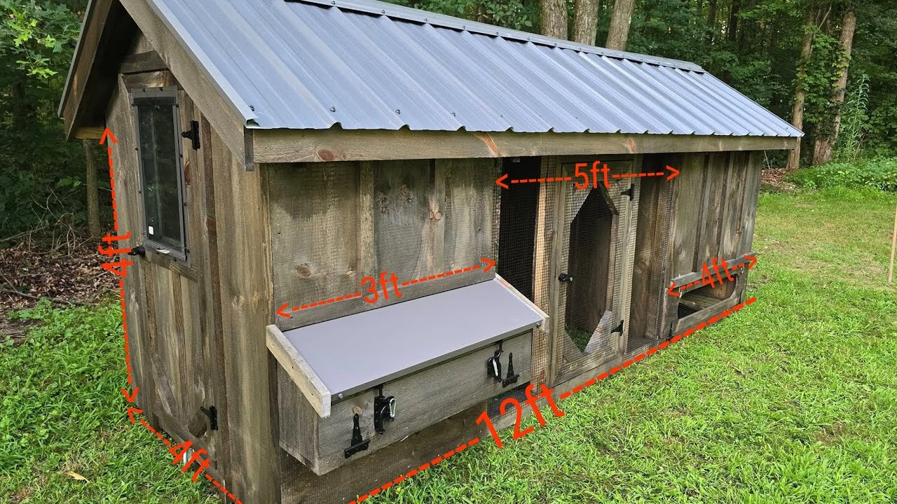 Rabbit hutch chicken coop combo