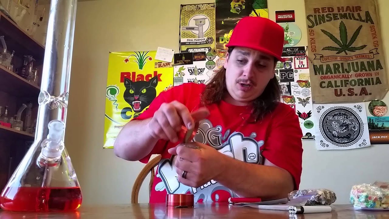 БЕСПЛАТНАЯ ТРАВКА!!!!!!!!!!!!!!!