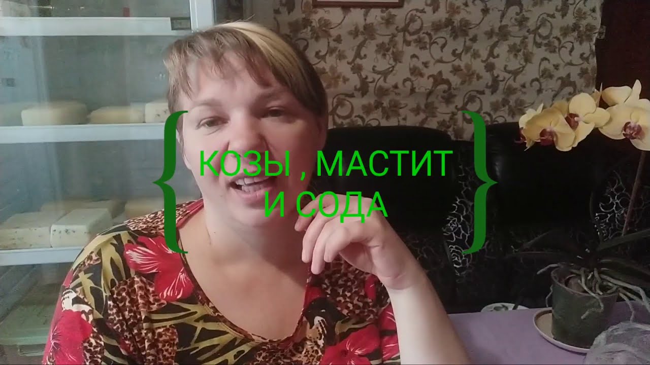 Козы, мастит и сода