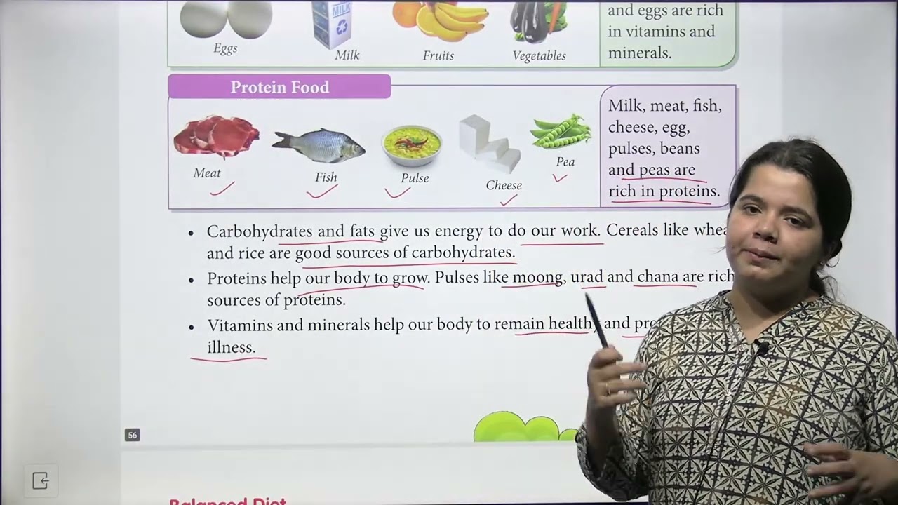 ROHAN PUBLICATIONS EVS CLASS 3 CHAPTER 11 THE FOOD WE EAT