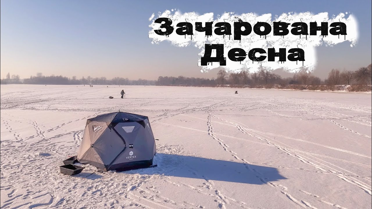 Зимовий фідер на Десні 😍