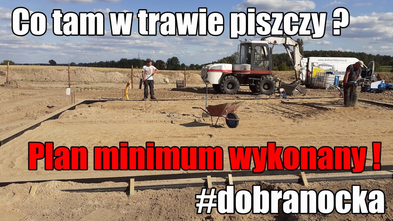 Co tam w trawie piszczy ? #dobranocka | #aktualności | #budowlańcy # serialcodzienny #