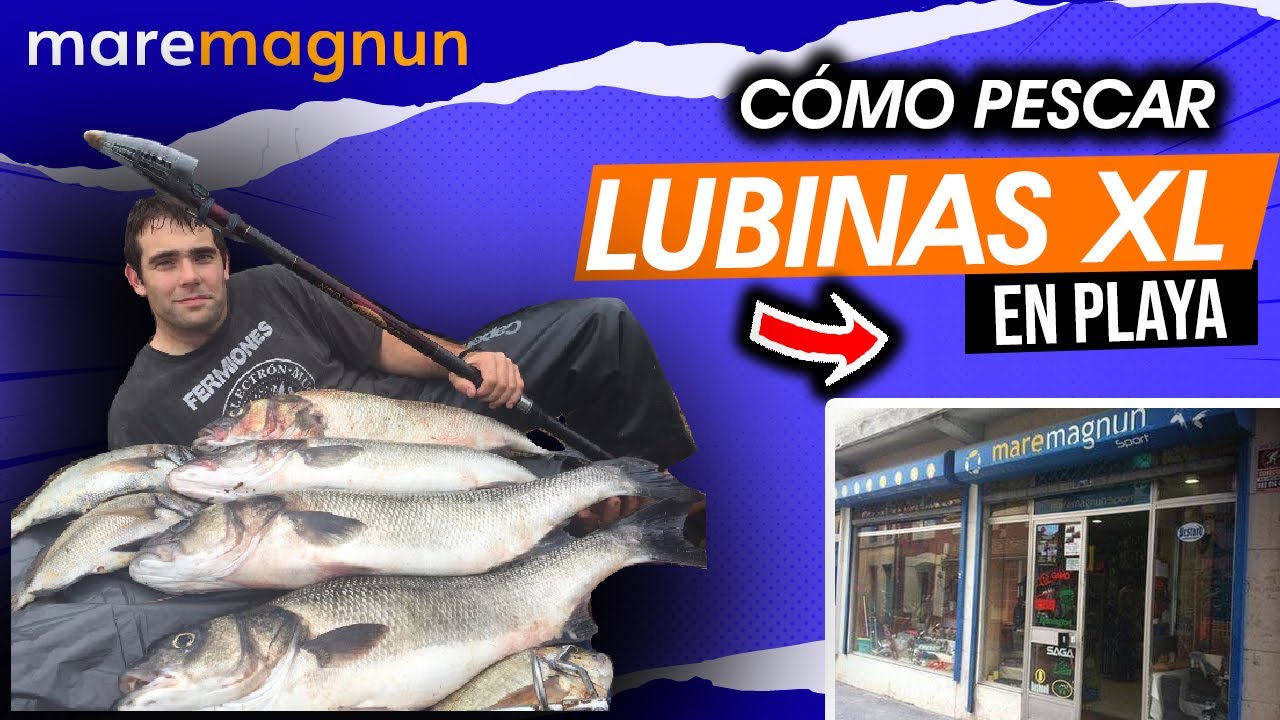CÓMO PESCAR LUBINAS📕en PLAYA 📗 Surfcasting o fondo Sardina | Norte