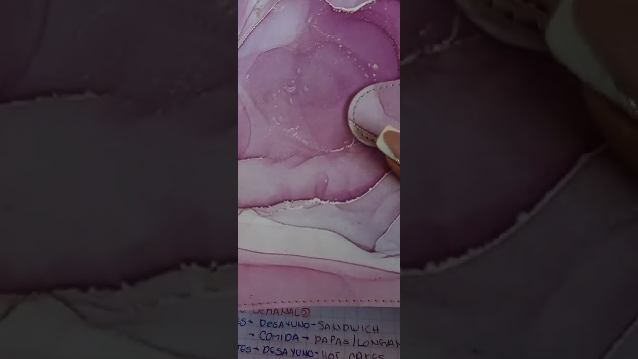 Primera organización de gasto 🤑🫰