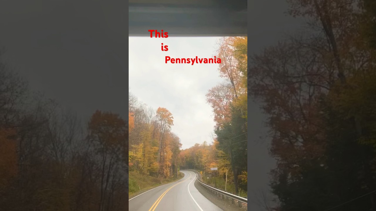 pennsylvania in summer #pennsylvania #usa #viral #shorts #nature #naturetrip #shortsfeed