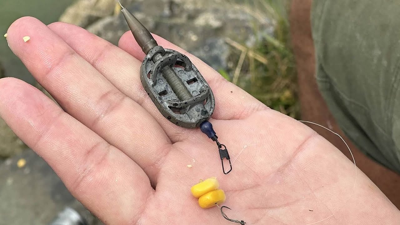 Method feeder škola – technika rybolovu u břehu