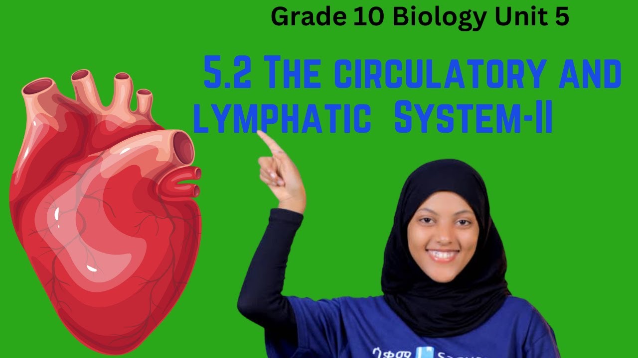 Grade 10 Biology Unit 5:5.2 The circulatory and lymphatic system Part II | Saquama