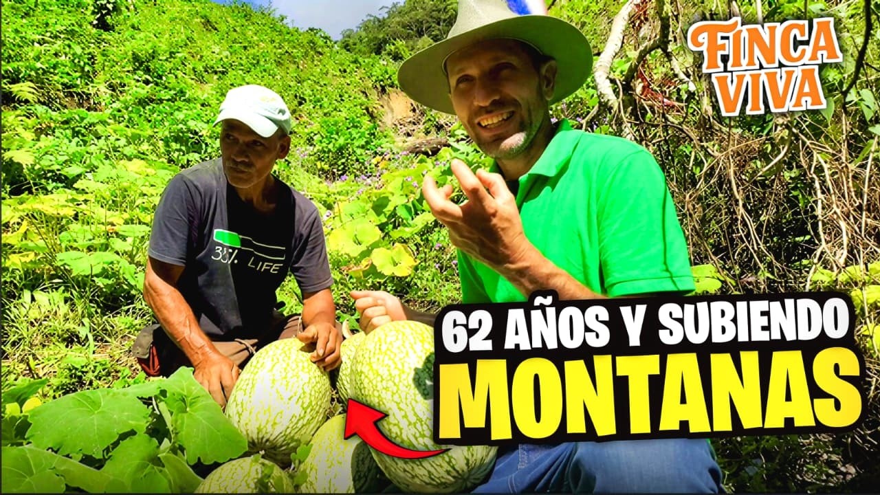 62 Años Subiendo Montañas en Costa Rica | Vida Sostenible, Papas Orgánicas y Finca Viva