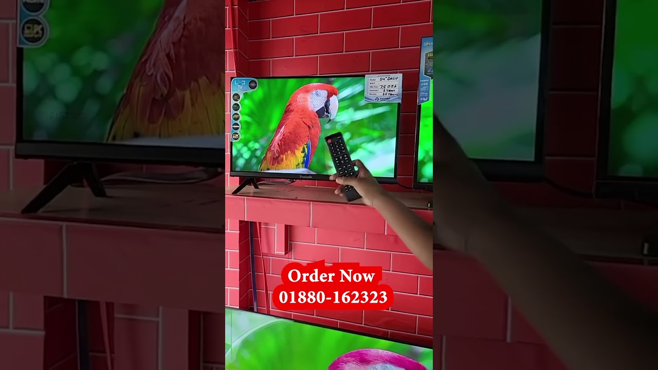 Pentanik 24 Inch Basic TV Price 7,500 Taka