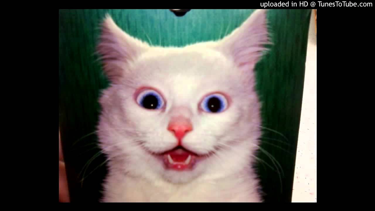 Cattywampus (Original Mix)
