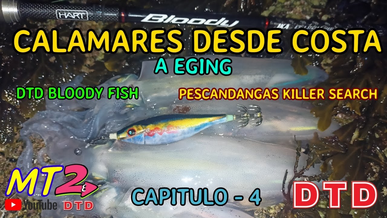 КАЛЬМАРЫ ОТ ПОБЕРЕЖЬЯ ДО ЭГИНГА 🦑🦑 с DTD Bloody Fish и Pescandangas Killer Search.