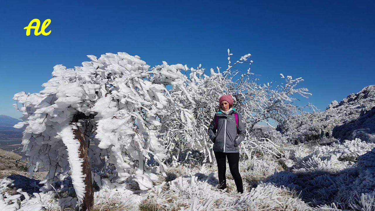PICO CHAMIZO 1.640m (MALAGA)
