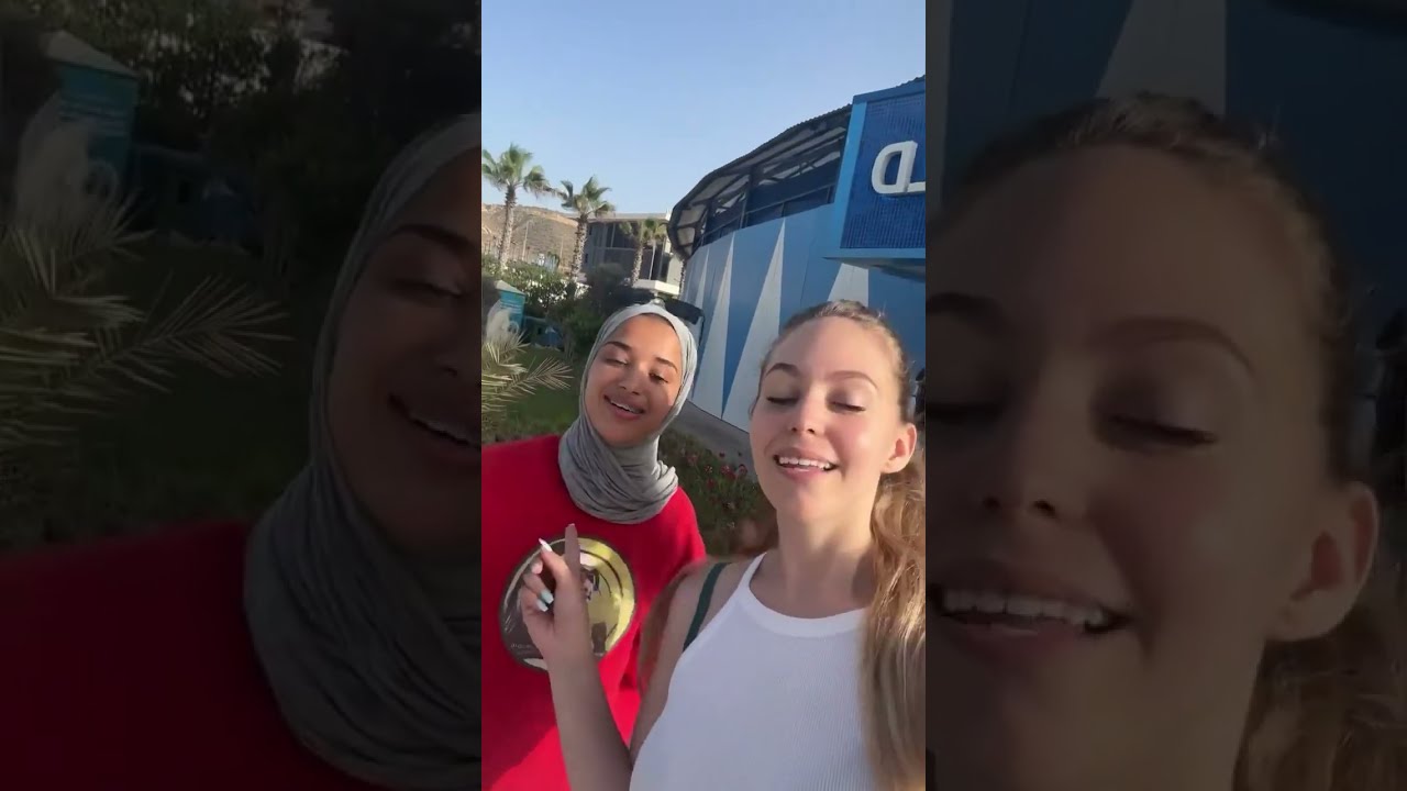 عمت مع الدلافين 🐬😍 I swam with dolphins