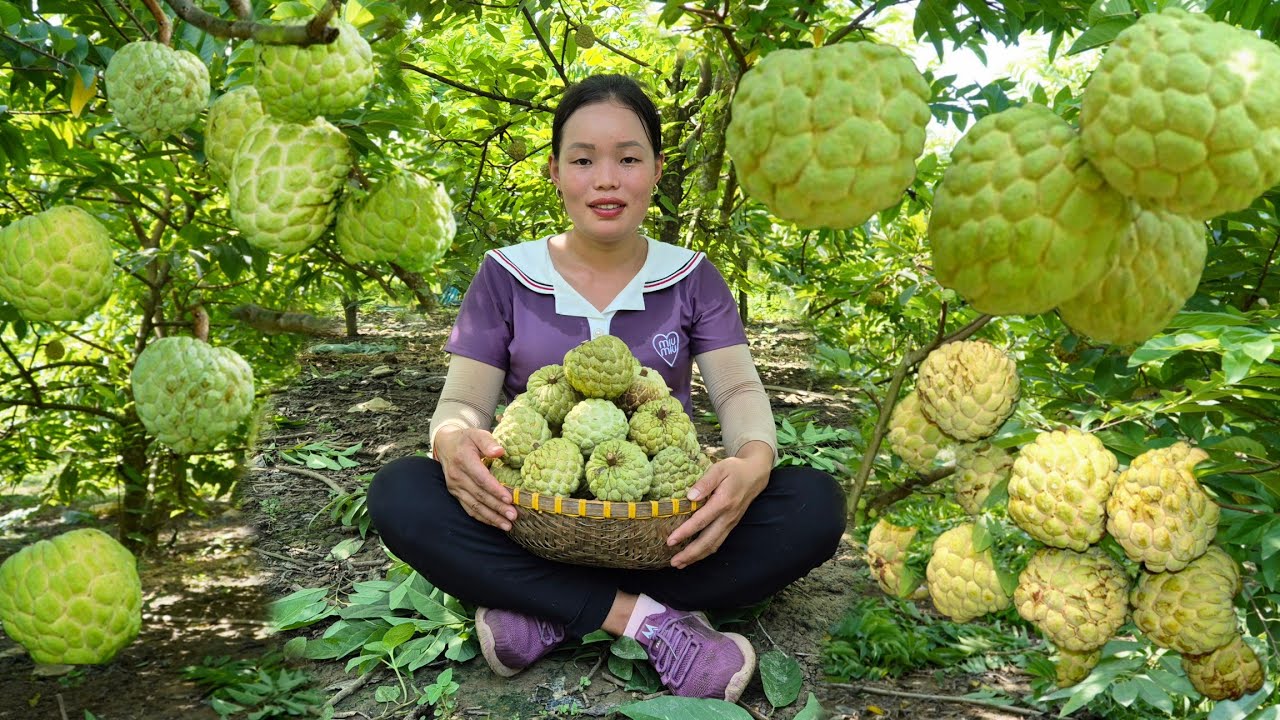 FULL VIDEO 150 Days: Harvesting Fish, Soursop, Making Cakes, Popcorn, Bringing to the Market to Sell