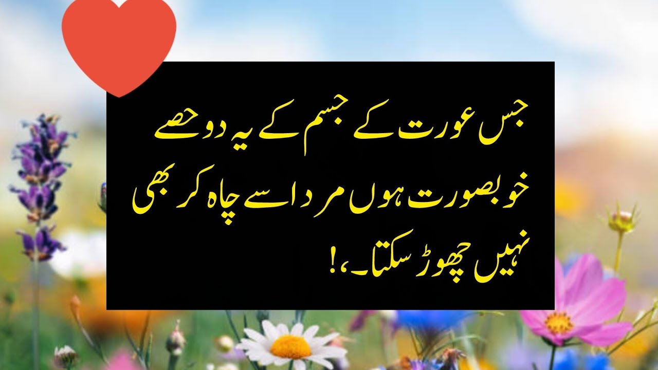 Life changing quotes✨||Bano Qudsia Quotes 💫||Islamic lessons.