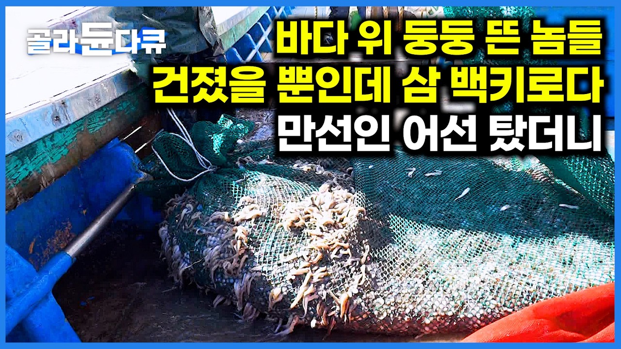 바람 셀 수록 많이 잡힌다. 배 한번 타서 3톤 잡는 주꾸미 대풍 어선｜극한직업｜#골라듄다큐
