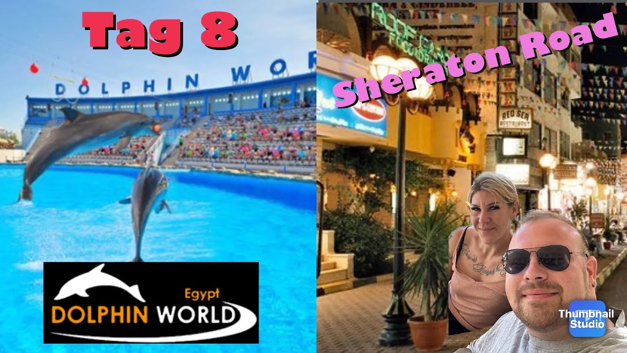 Ägypten 🇪🇬🐫 - TAG 8 - Dolphin World 🐬 & Sheraton Road erkunden 💸 | die PÜFFCHENS
