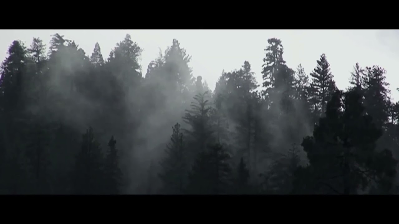 [FREE] Bones x Deergod Type Beat 