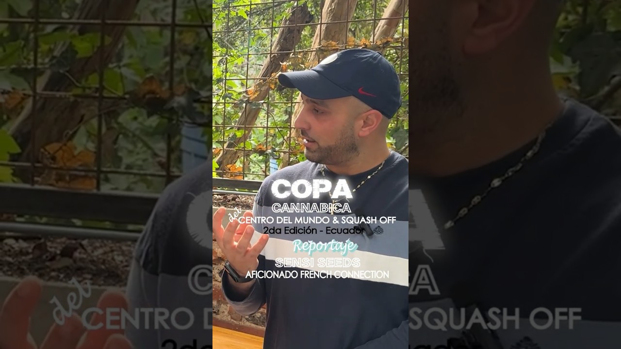 Copa cannabica del CENTRO DEL MUNDO & SQUASH OFF #copa #mundocannabis #squash #cbdcommunity