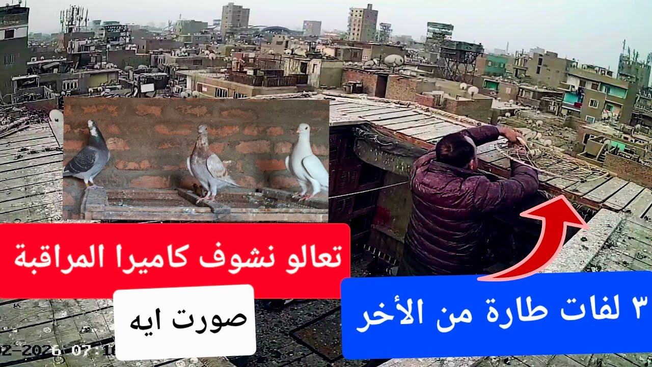 مسلسل بيحصل على الغية ٣ لفات طارة 🤣