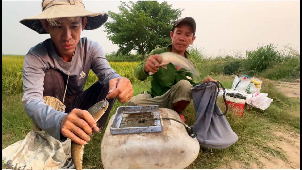 TẬP.64.bữa nay hai anh em trúng luồn rồi/cắm câu mùa khô vùng biên giới campuchia/GIÓ LÀNG QUÊ
