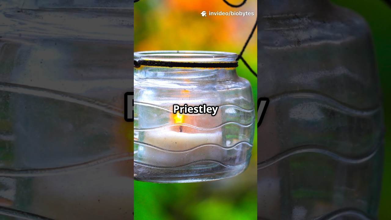 Photosynthesis in Higher Plants | Joseph Priestley | Jan Ingenhousz  | Plant Physiology | NEET 