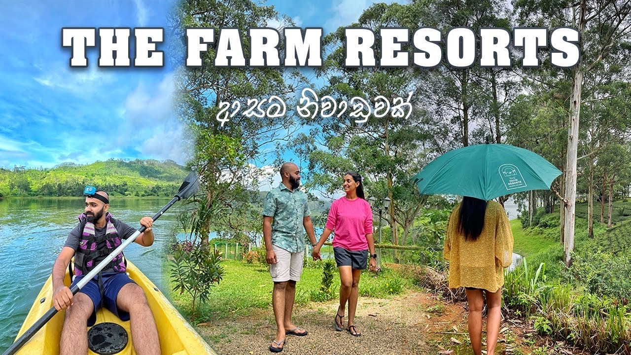 THE FARM RESORTS 💚| DICKOYA | SRI LANKA 🇱🇰| WHERE LUXURY MEETS NATURE'S MAJESTY !