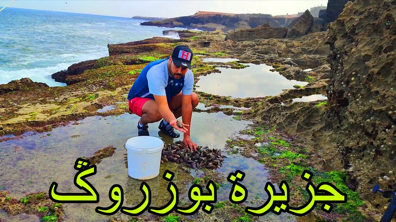 Vlog #200 رحلة صيد بتقنية البيلوطة و جمع اجود انواع بوزروك مصيد لافاليز المحمدية 