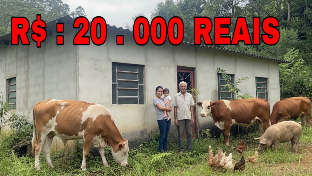 SÍTIO A VENDA - FAZ PELA CAIXA - R$ 20 .000 MIL REAIS! CASA BOA - VÁRIOS QUARTOS - ESTÁ ABANDONADO 