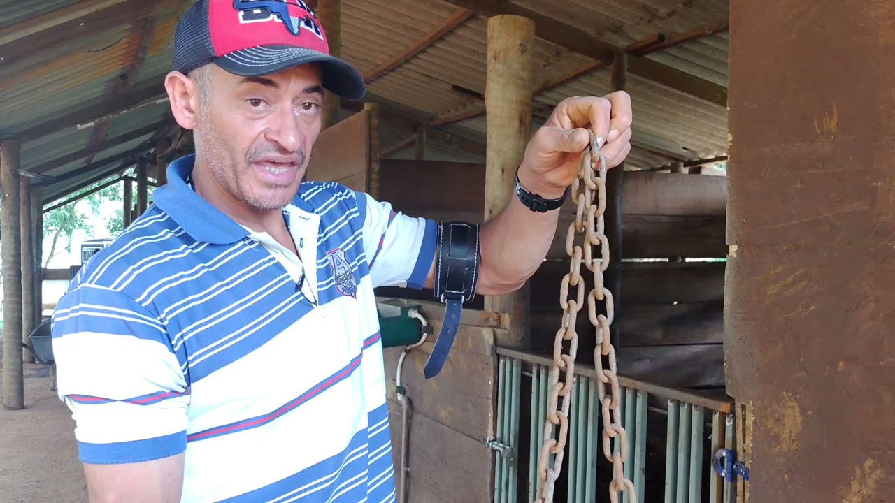 COMO FAZER FERRAMENTA PARA TRABALHAR A MARCHA PICADA NO SEU MUAR OU CAVALO.