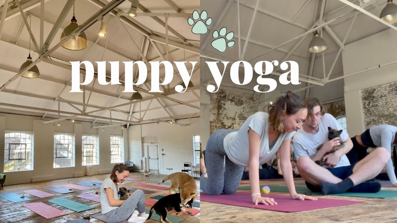 Weekend in London 🐶 yoga with puppies 🐾 and table tennis
