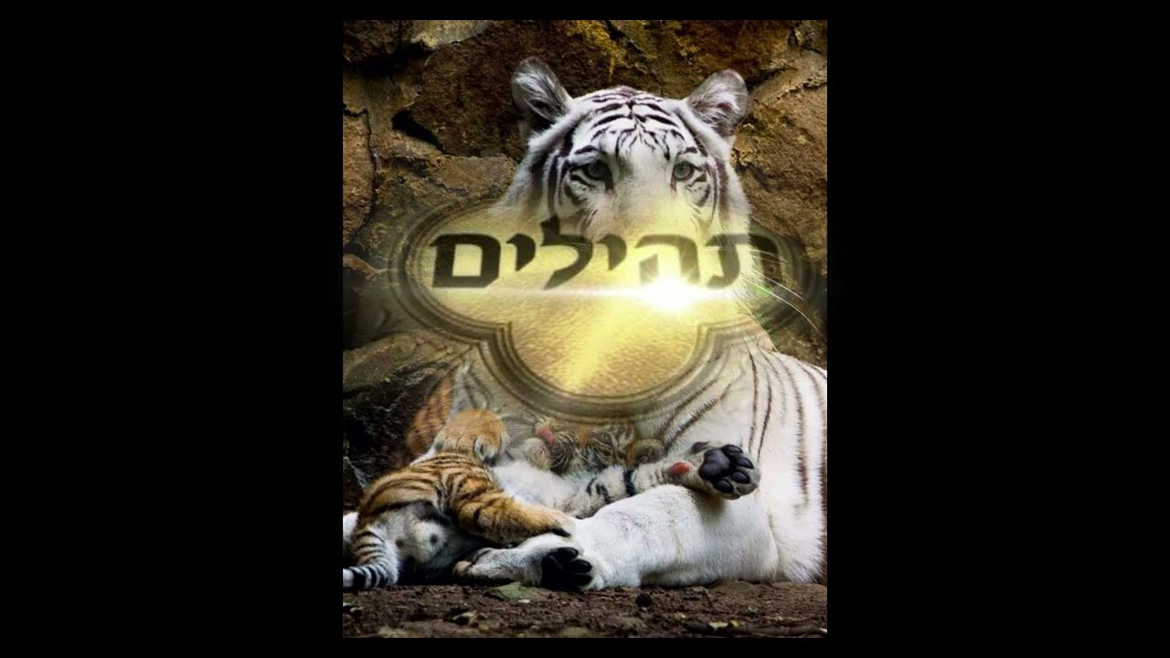 הרב שלום סבג-אשתך כגפן פוריה
