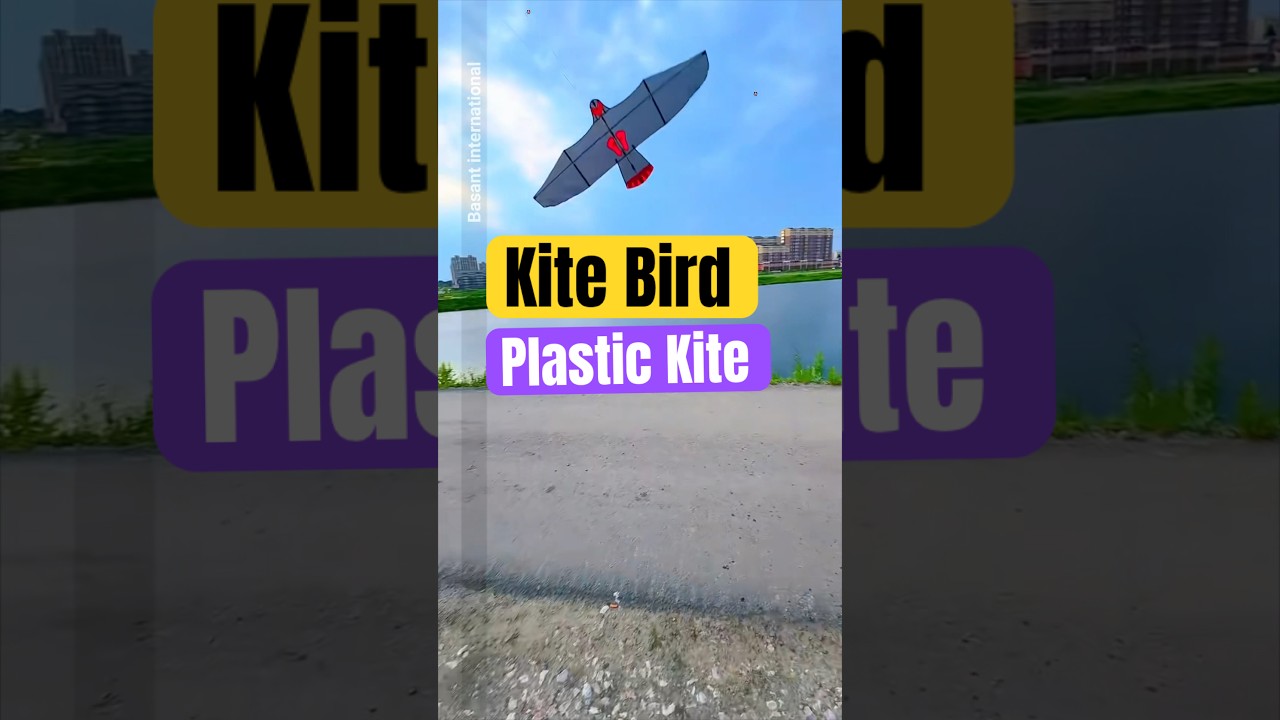 kite bird Kite flying | kite material | types of kite | international kite flying festival