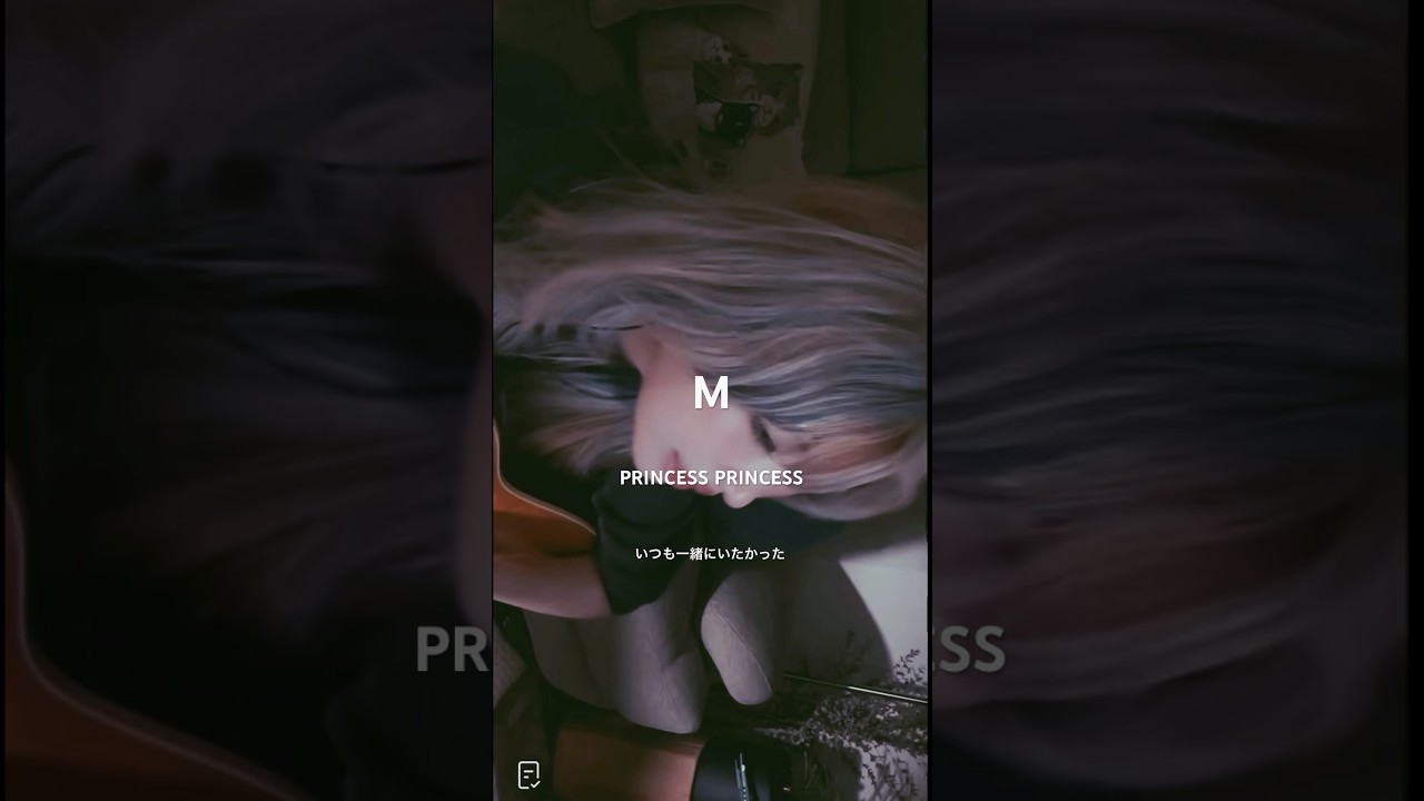 たなかのM/PRINCESS PRINCESS歌ってみた